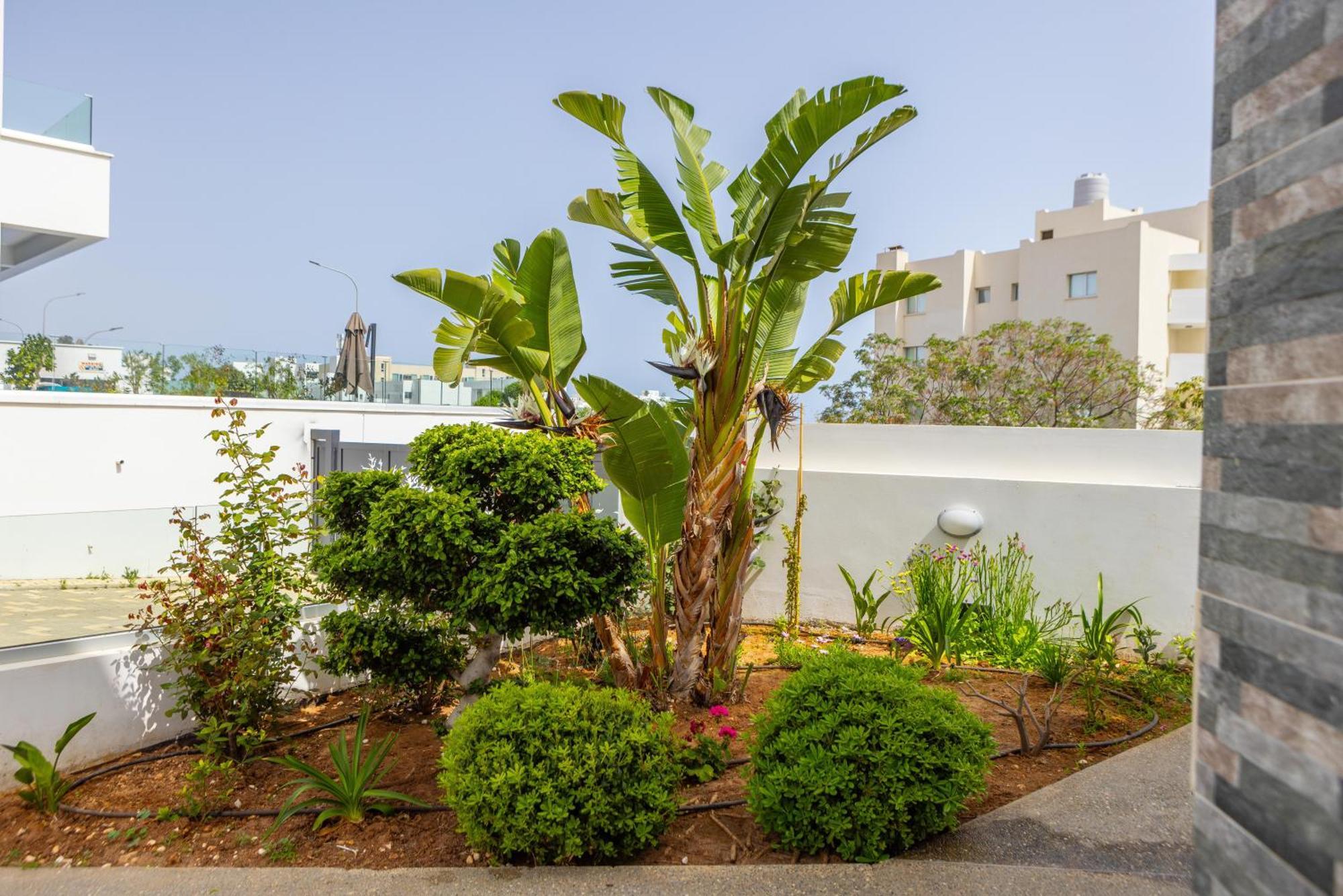 Fig Tree Bay Residences 5 プロタラス エクステリア 写真